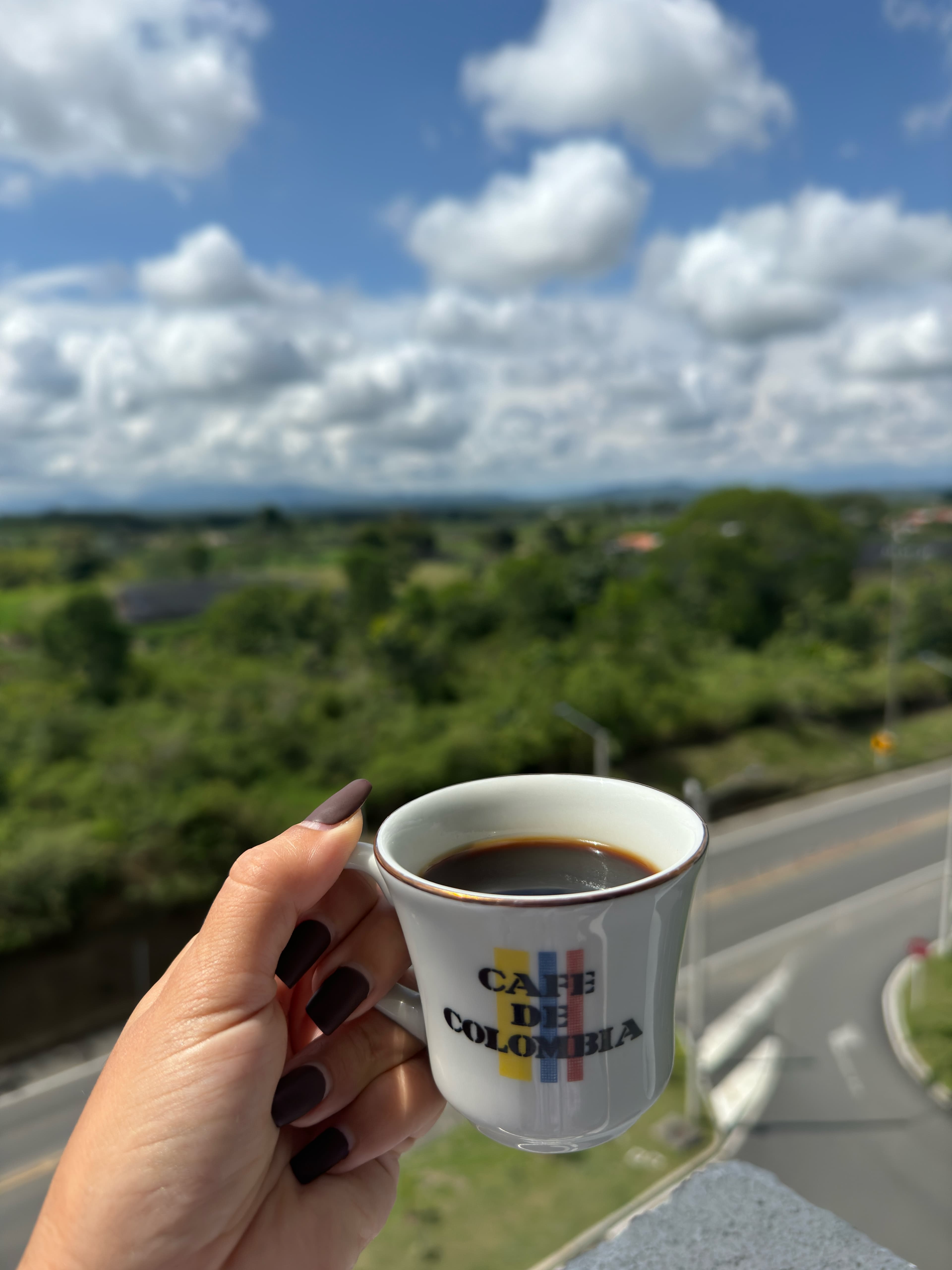 Goose Cafe wholesale coffee — freshly roasted single-origin beans
